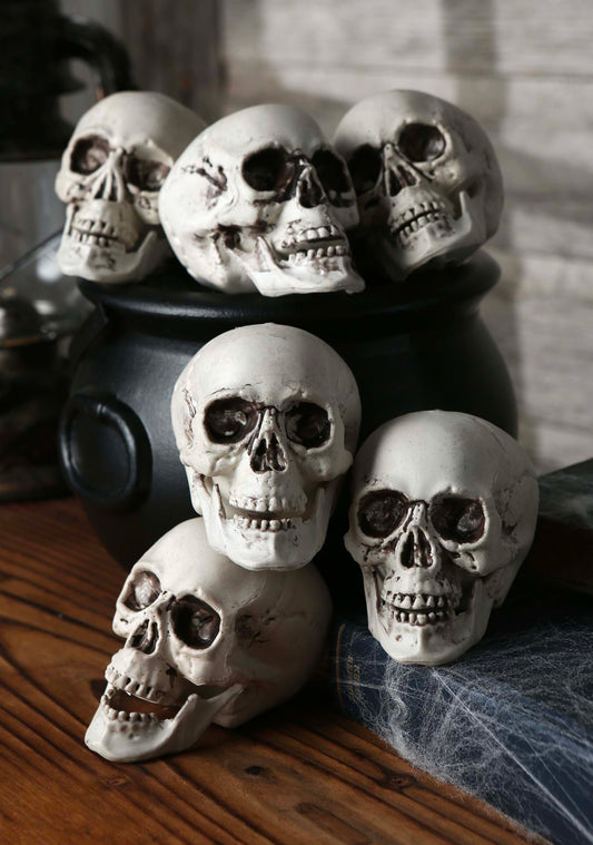 Set of 24 Skulls Decoration