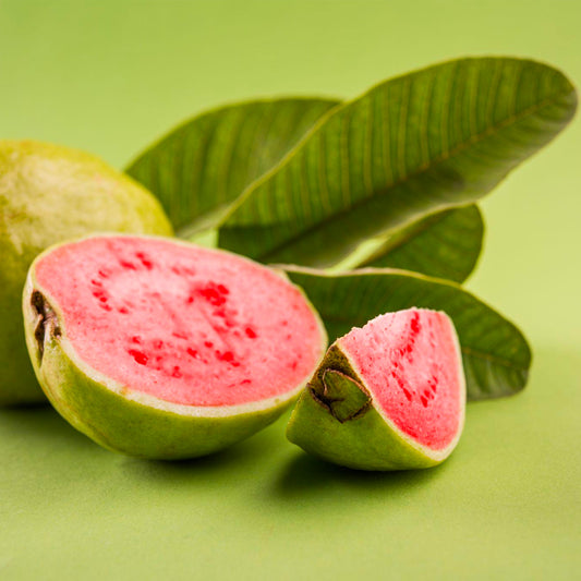 Guava Ruby Red Flesh