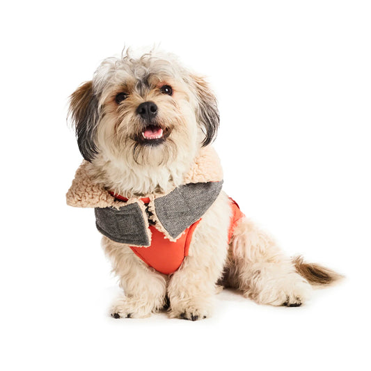 Small Reversible Sherpa Fleece Dog Coat – Orange/ Cream